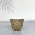 Minoyaki Nagareun Kairagi Sencha Cup | Japanese Yunomi Tea Cup | Mino Ware Pottery | Made in Japan