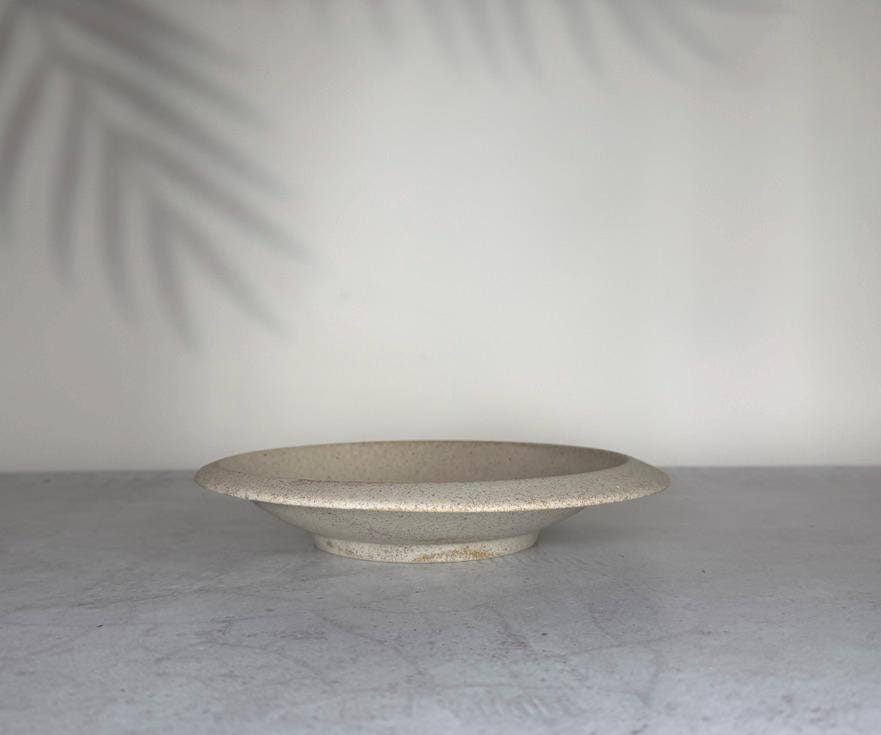 Mino Ware Porto 24cm Pasta Plate  Silk Robe Japanese Ceramic Plate, Wide Pasta Bowl, Made in Japan