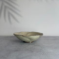 Handmade Shigaraki Flower Ash Glazed Bowl  Authentic Japanese Pottery