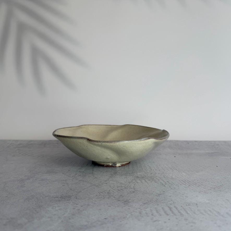 Handmade Shigaraki Flower Ash Glazed Bowl  Authentic Japanese Pottery