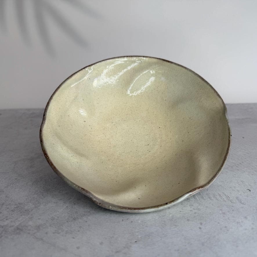 Handmade Shigaraki Flower Ash Glazed Bowl  Authentic Japanese Pottery